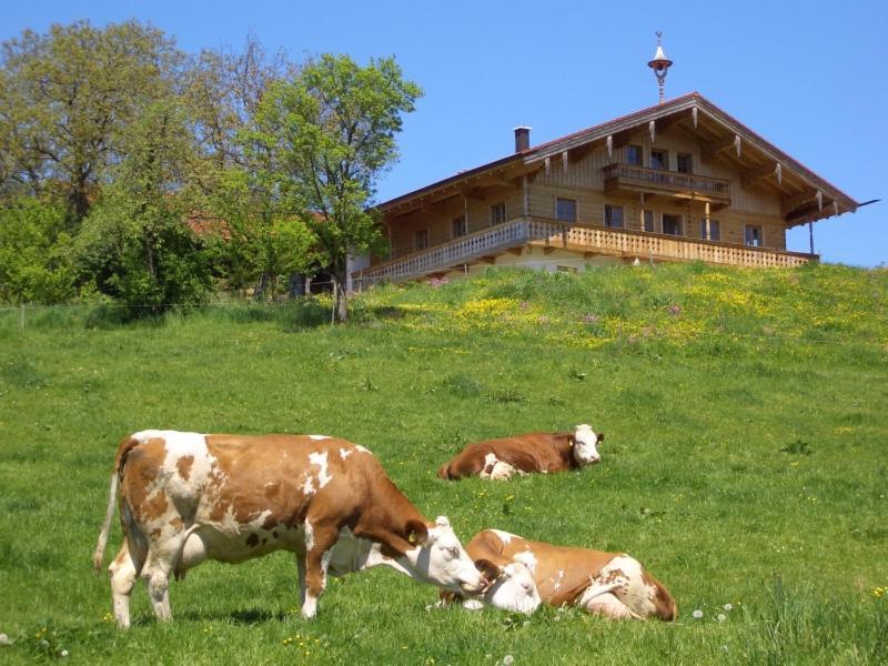 Huberbauernhof Ferienwohnungen 피딩 외부 사진
